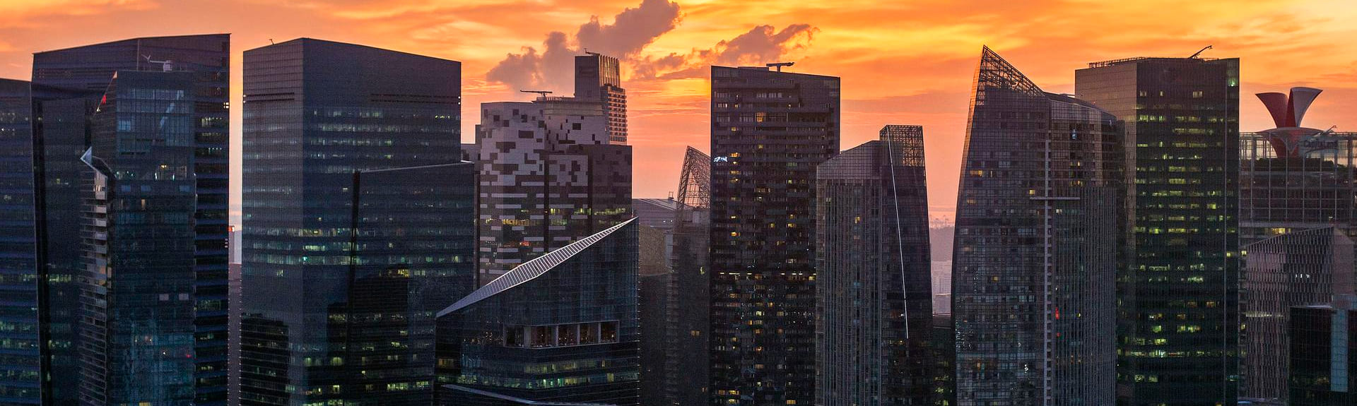 simplifying-company-management